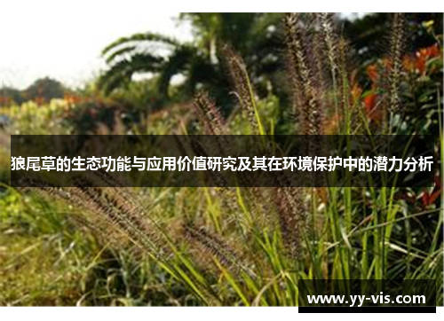 狼尾草的生态功能与应用价值研究及其在环境保护中的潜力分析