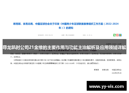 尊龙凯时公司21金维的主要作用与功能主治解析及应用领域详解