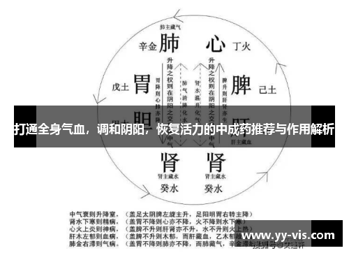 打通全身气血，调和阴阳，恢复活力的中成药推荐与作用解析