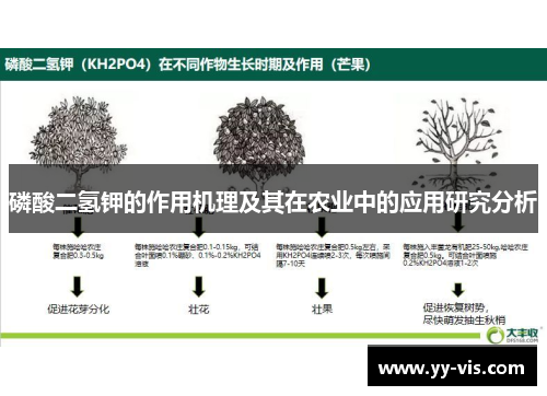 磷酸二氢钾的作用机理及其在农业中的应用研究分析